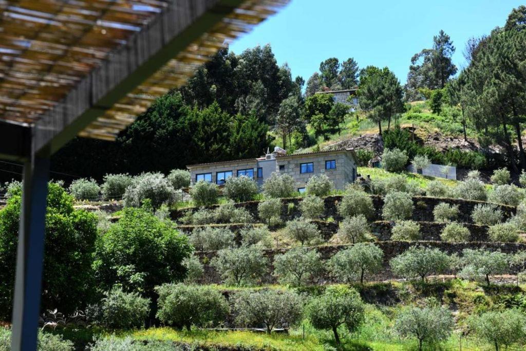 Villa Casa Dos Becos à Ribadouro Extérieur photo